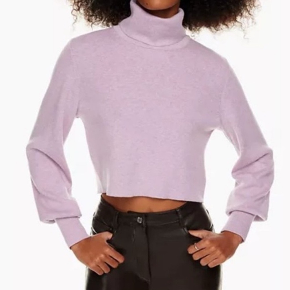 Aritzia Wilfred Rebecca Turtleneck